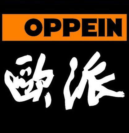 哈尔滨欧派橱柜衣柜