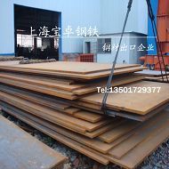 专业供应船用钢板贸易商上海宝卓贸易发展有限公司
