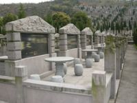 黑珍珠串龙小三角梅园观栏加地坪板