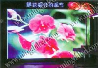 P5全彩屏，P5单元板，PH5全彩LED显示屏（图）