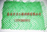 面向全国销售三维土工网垫