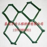 面向全国销售高强度土工网
