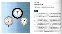 耐震精密压力表YBN