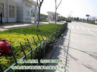 绿化带护栏定制、太阳能亮化护栏、桥梁护栏定制