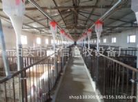 养猪设备供应商报价/和信畜牧
